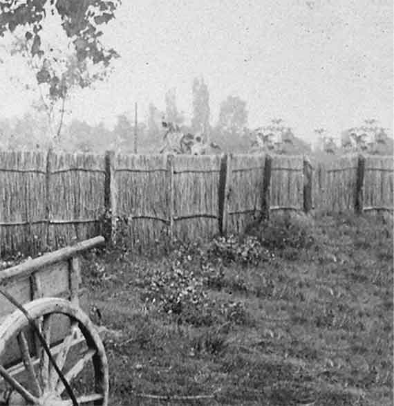 1920