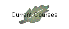 Current Courses